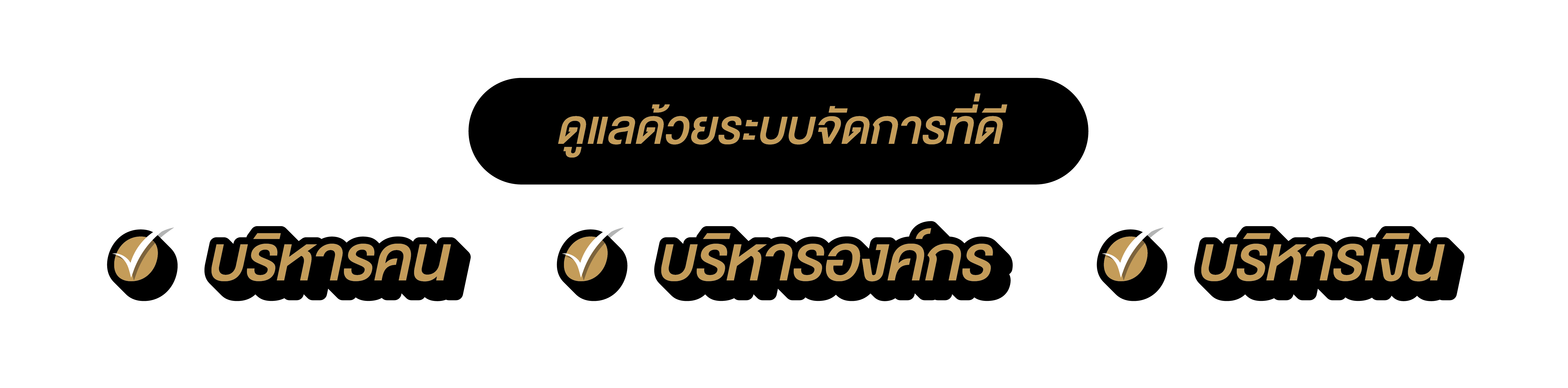 Nigiwai Web Test-D3 PNG-07